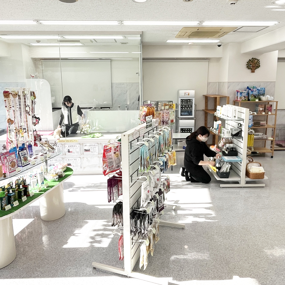 ２年生のペットショップ実習